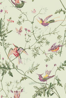 SELECTION OF HUMMINGBIRDS 100/14070 100/14070