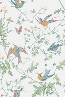 SELECTION OF HUMMINGBIRDS 112/4016 112/4016